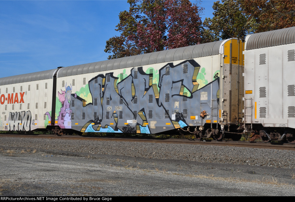 AOK 501563